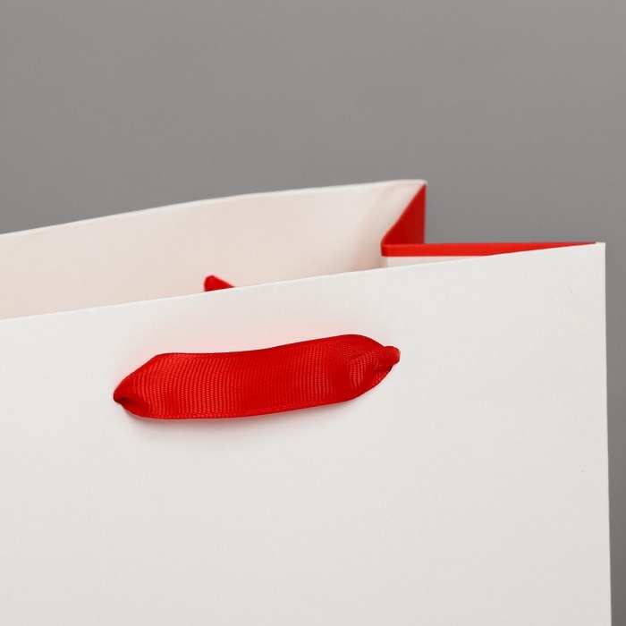 Пакет подарочный ламинированный вертикальный, упаковка, &laquo;Love&raquo;, MS 18 х 23 х 10 см