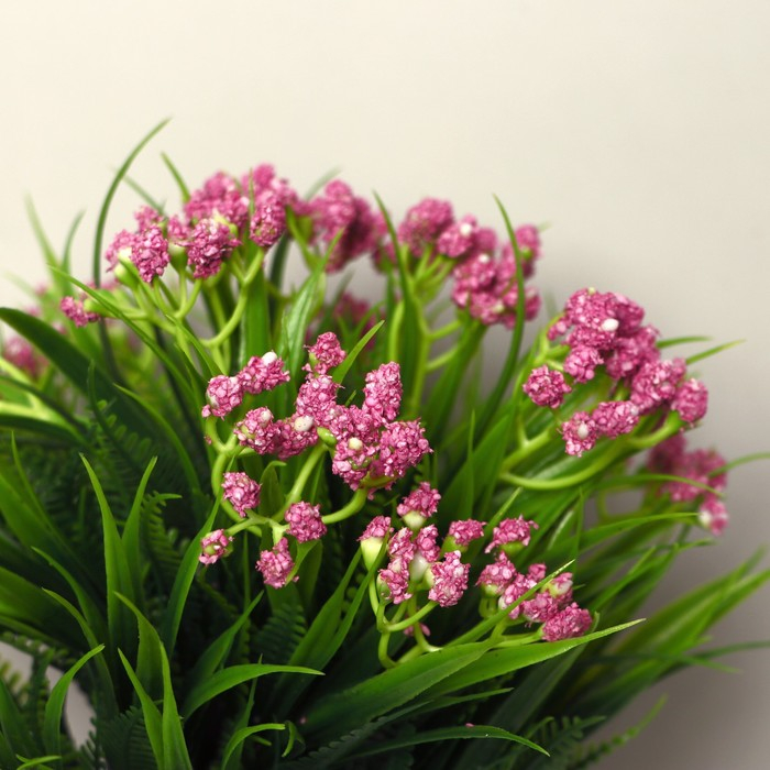 Бонсай в горшке "Статица" 9х21 см, микс