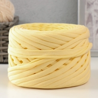 Трикотажная пряжа, ширина 7-9 мм, 100м/295 гр&plusmn;10% (17 - экрю)