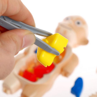 Набор для опытов &laquo;Мое удивительное тело&raquo;