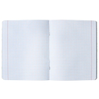 Комплект предметных тетрадей Calligrata TOP "Школьный стиль", 48 листов, 10 предметов, со справочным материалом, пластиковая обложка, блок офсет