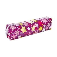 Пенал школьный &laquo;Звезды&raquo;, на молнии, МИКС