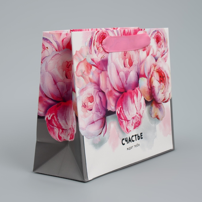 Пакет подарочный ламинированный горизонтальный, упаковка, &laquo;Счастье ждёт тебя&raquo; 22 х 17,5 х 8 см