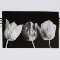 Штора для ванны Доляна &laquo;Белые цветы&raquo;, 180&times;180 см, EVA