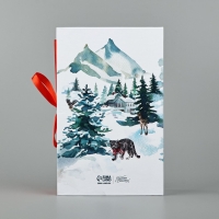 Коробка‒книга &laquo;Сказочного праздника&raquo;, 20 х 12.5 х 5 см, Новый год