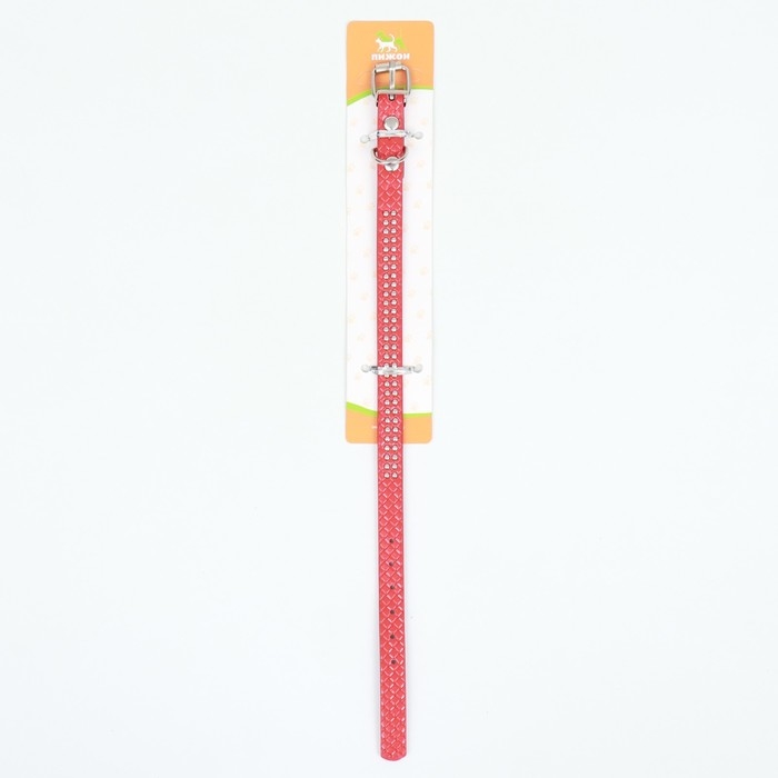 Ошейник рифленый с 2 рядами клепок, 33 х 1,2 см, ОШ 23-29, красный