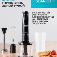 Кухонный погружной блендер SC-HB42F12