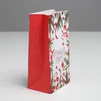 Пакет без ручек &laquo;С Новым Годом!&raquo;, 10 х 19.3 х 7 см