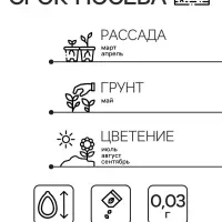 Семена Цветов Платикодон "Яркие вспышки", смесь сортов, 0,03 г