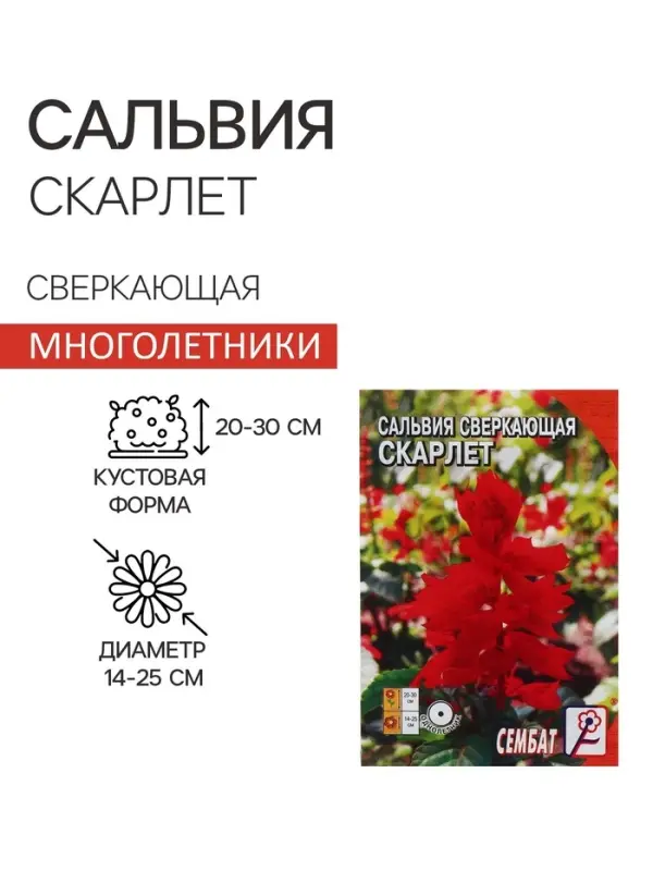 Семена цветов Сальвия сверкающая "Скарлет",  0,05 г