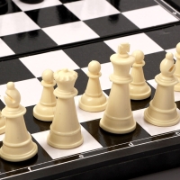 Шахматы 26 х 26 см, король h-4.6 см, d-1.9 см, доска и фигуры пластик