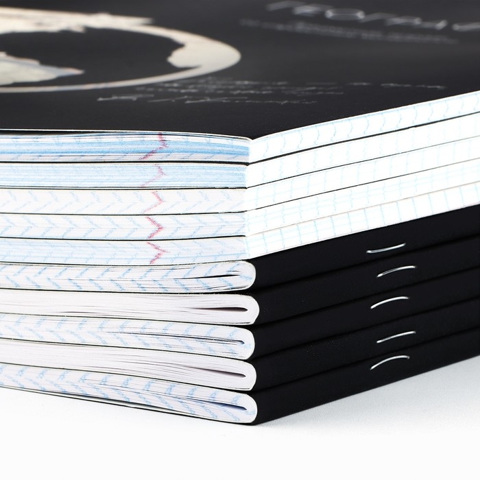 Набор тетрадей 48 листов, 10 предметов, внутренний блок №1 МИКС &laquo;1 сентября: Силуэт&raquo; Софт тач лам, уф лак