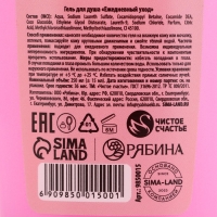 Гель для душа &laquo;Магия НовогоГода&raquo;, 250 мл, аромат морозных ягод, ЧИСТОЕ СЧАСТЬЕ
