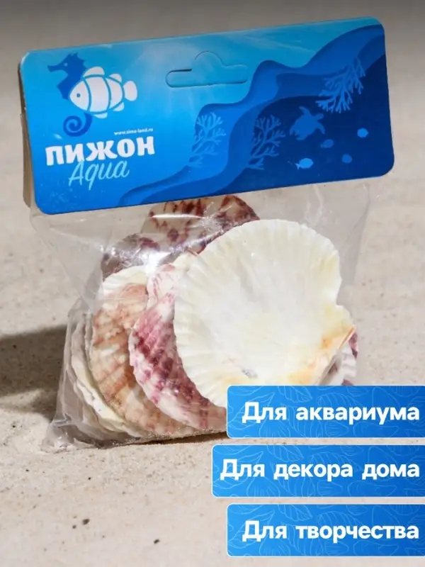 Набор ракушек, "Гребешок пуксидатус", размер 4 - 6 см, 100 г