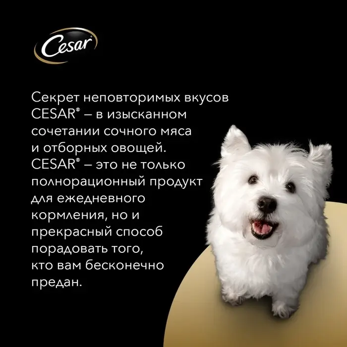 Влажный корм Cesar для собак, курица/зеленые овощами, пауч,  85 г