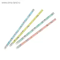 Карандаш чернографитный с ластиком &laquo;Единороги&raquo;, твердость НВ, корпус круглый, МИКС (штрихкод на штуке)