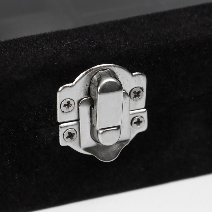 Подставка для украшений &laquo;Шкатулка&raquo;, 8 полос, 9 ячеек, 20&times;15&times;4,5, цвет чёрный