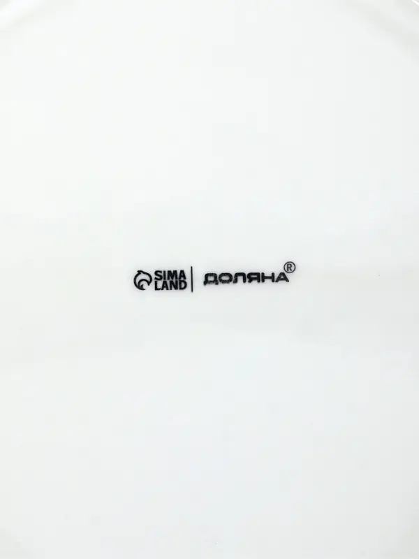 Набор тарелок 4 шт обеденных "White Label" 25 см