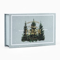 Коробка‒книга &laquo;Новогодняя ночь&raquo;, 20 х 12.5 х 5 см, Новый год