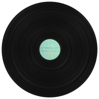 Диск здоровья ONLYTOP, с магнитными вставками, d=25 см, цвета МИКС