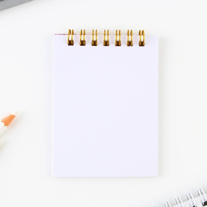 Подарочный набор блокнот &laquo;Золотому учителю&raquo;, формат А7, 32 листа, ручка пластик,синяя паста