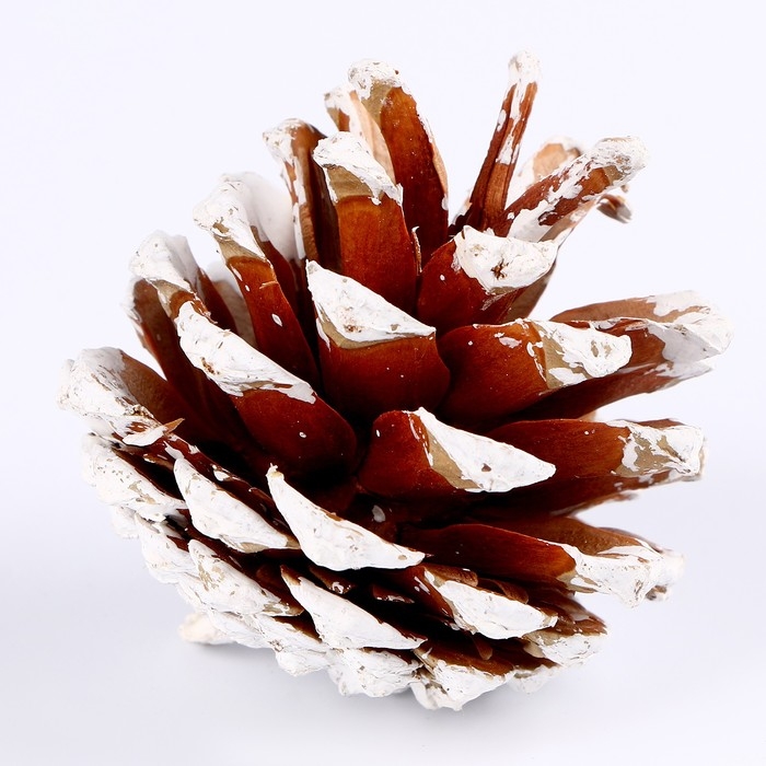 Новый год! Декоративное украшение &laquo;Набор шишек&raquo; 6 шт., 17 &times; 11 &times; 6 см