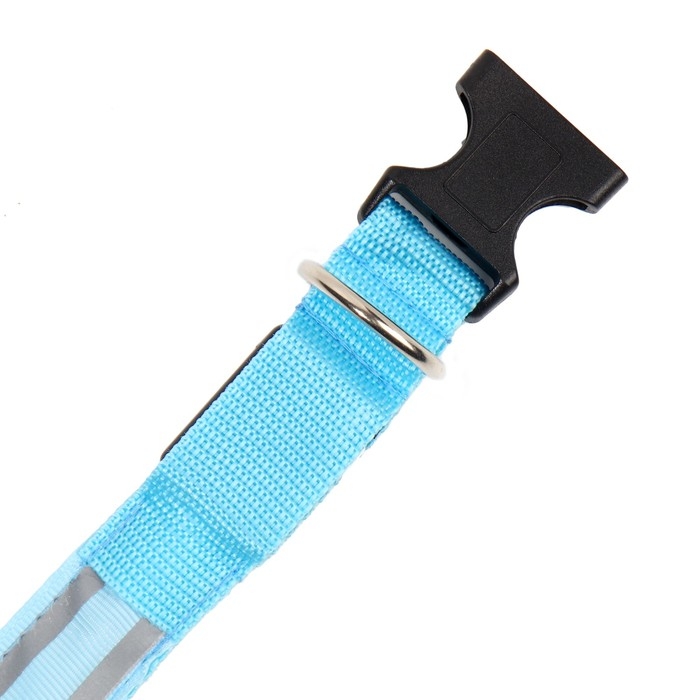 Ошейник с подсветкой Двойная полоса размер L, ОШ 45-52 х 2,5 см 3 режима свечения голубой