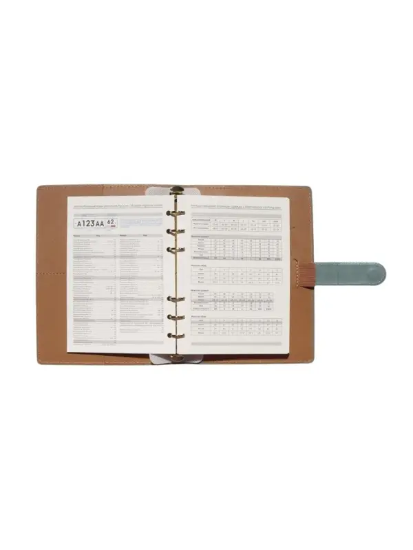 Органайзер на кольцах, C6, с хлястиком, 80л, линия, к/зам, Зеленый