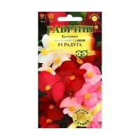 Семена цветов Бегония "Радуга", ц/п,  F1, вечноцветущая, смесь, гранулы, 7 шт