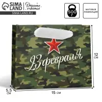 Пакет подарочный ламинированный, упаковка, &laquo;С 23 февраля&raquo;, S 15 х 12 х 5.5 см