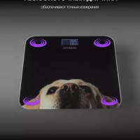 Весы напольные электронные H-BS03674 макс.180кг