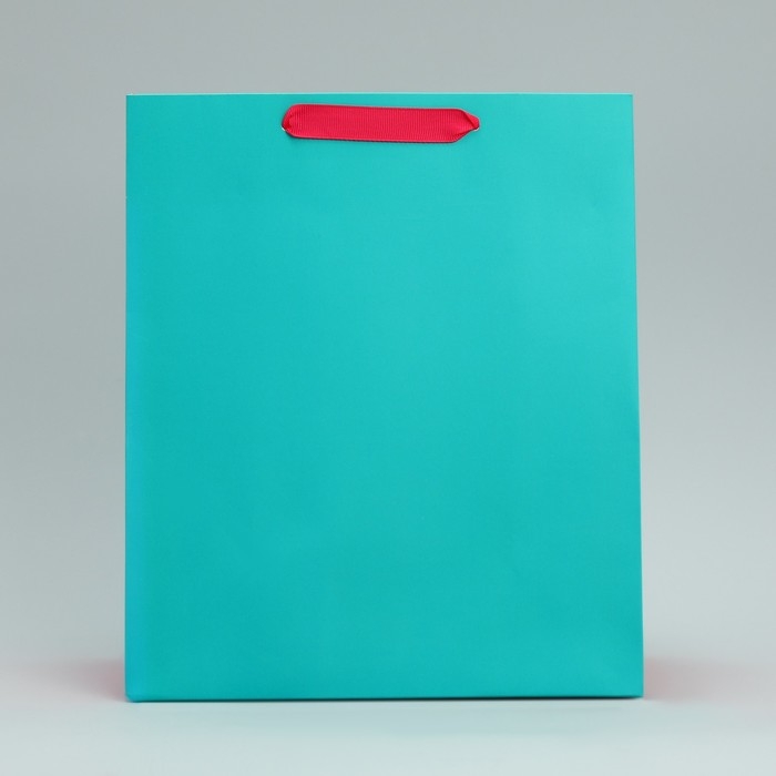 Пакет подарочный двухцветный, упаковка, &laquo;Розовый-голубой&raquo;, ML 23 х 27 х 11.5 см