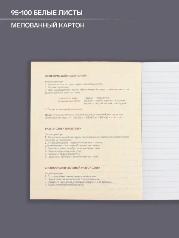 Тетрадь предметная 48 листов в линию, Calligrata &laquo;Доска. Русский язык&raquo;, обложка мелованный картон