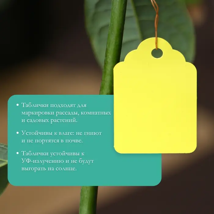 Бирки садовые, для маркировки растений, 4.5&times;3 см, набор 20 шт., пластик, МИКС, Greengo