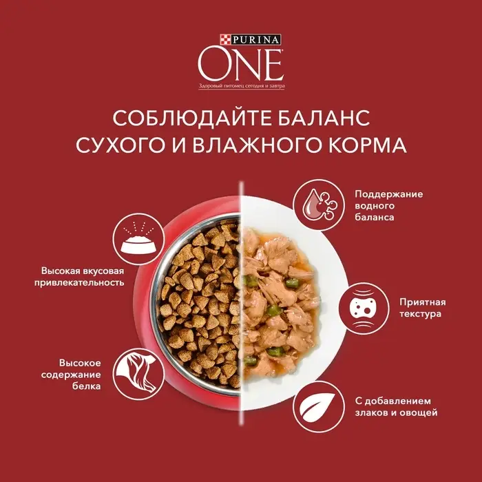 Сухой корм Purina One medium/maxi для взрослых собак, курица/рис, 10 кг