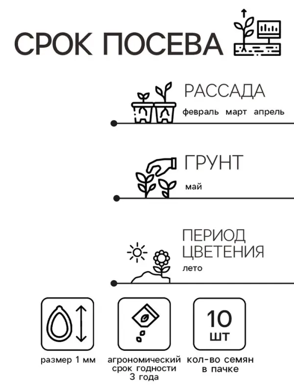 Семена цветов Колеус Визард Скарлет, 10шт