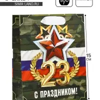 Пакет подарочный ламинированный &laquo;23 февраля&raquo;, S 12 х 15 х 5.5 см