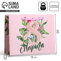 Пакет подарочный ламинированный, упаковка, &laquo;8 марта&raquo;, S 12 х 15 х 5.5 см