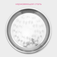 Поднос из нержавеющей стали &laquo;Мэйли&raquo;, 35&times;3 см, цвет серебряный