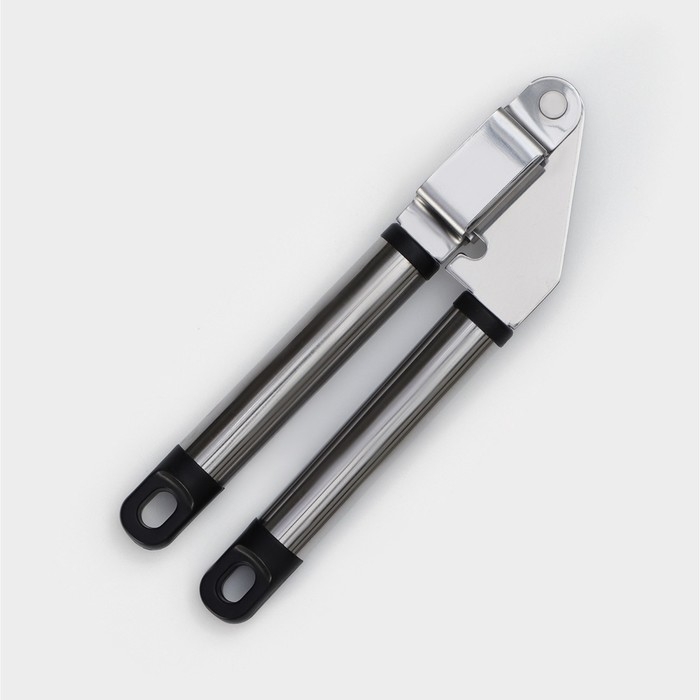 Пресс для чеснока Доляна &laquo;Помощник&raquo;, 18 см, цвет серебристый