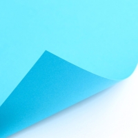 Картон цветной с блёстками, А4, 12 листов, 12 цветов, немелованный, двусторонний, в папке, 250 г/м&sup2;, Щенячий патруль