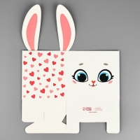 Коробки для мини букетов &laquo;Зайка&raquo;, 12 &times; 20 &times; 10 см