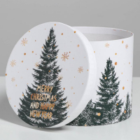 Набор подарочных коробок 5 в 1 &laquo;Белое золото&raquo;, 13 х 14‒19.5 х 22 см, Новый год