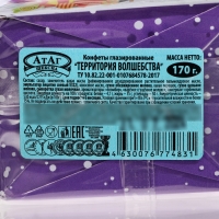 Новый год. Конфеты глазированные "Территория волшебства", МИКС, 170 г