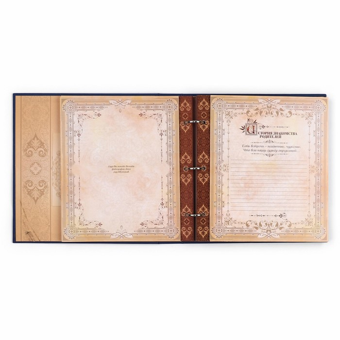 Родословная книга с рамкой под фото &laquo;Родословная книга&raquo;, 50 листов, 21,5 х 23,7 см.