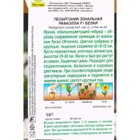 Семена цветов Пеларгония Рафаэлла F1 белая Мн С. Farao Золотая серия, Ц/П,5 шт.