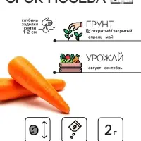Семена Морковь "Витаминная 6", 2 г