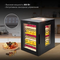 Сушка для фруктов и овощей HYFD-8803 28под. 850Вт