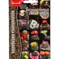 Семена цветов Кактус Смесь Видов карликовый  3шт. / НОВИНКА  12.29 г.