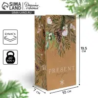 Пакет без ручек &laquo;Present for you&raquo;, 10 х 19.3 х 7 см